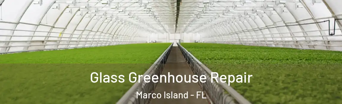  Glass Greenhouse Repair Marco Island - FL